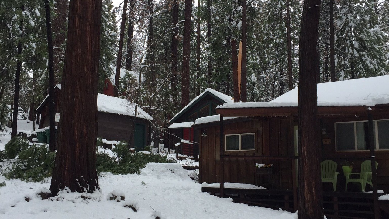 Photo of Outdoor in Twain Harte