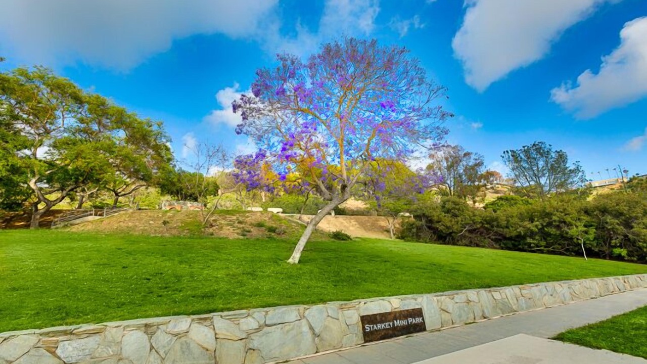Photo of Outdoor in Beach Barber Tract