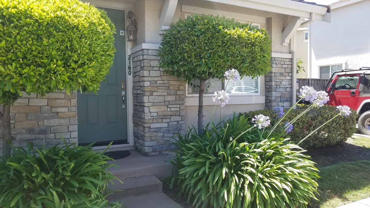 Photo of Outdoor in Santa Clara