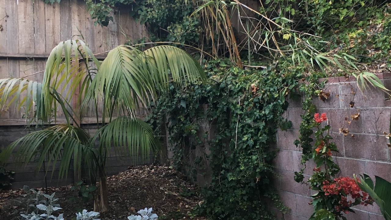 Photo of Outdoor in Saint Andrews