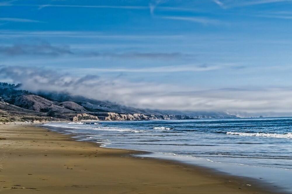 Photo of Others in Point Reyes Station