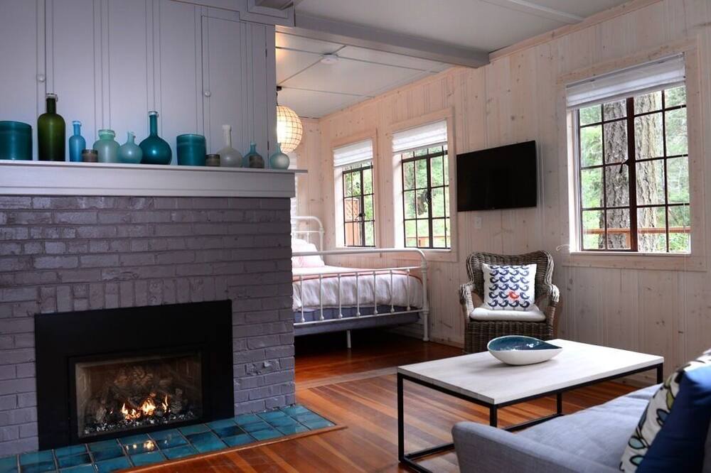 Photo of Livingroom in Point Reyes Station