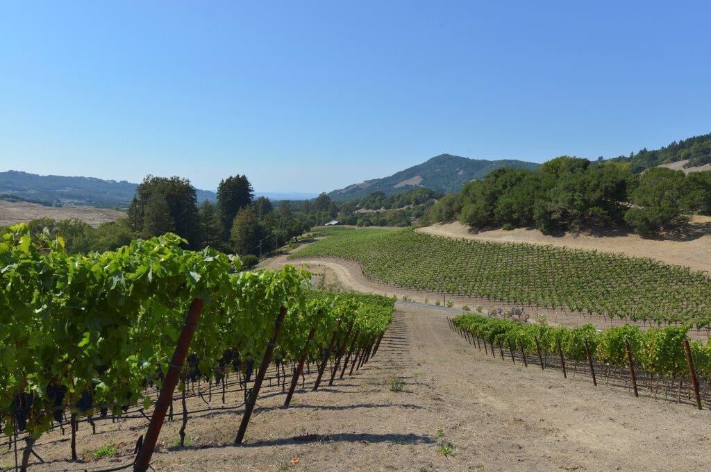Photo of Outdoor in Santa Rosa