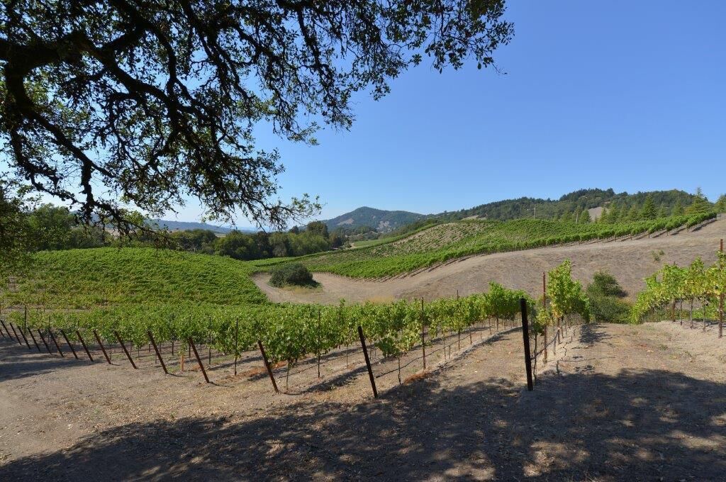 Photo of Outdoor in Santa Rosa