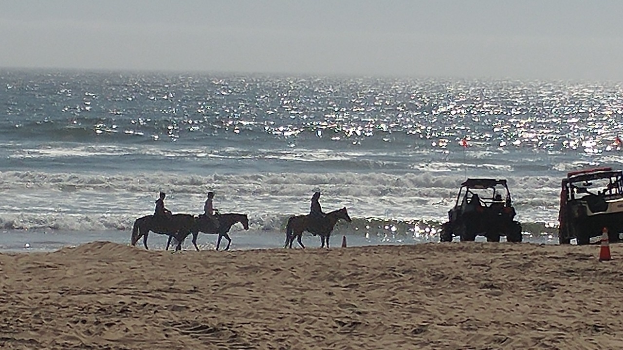 Photo of Others in Grover Beach