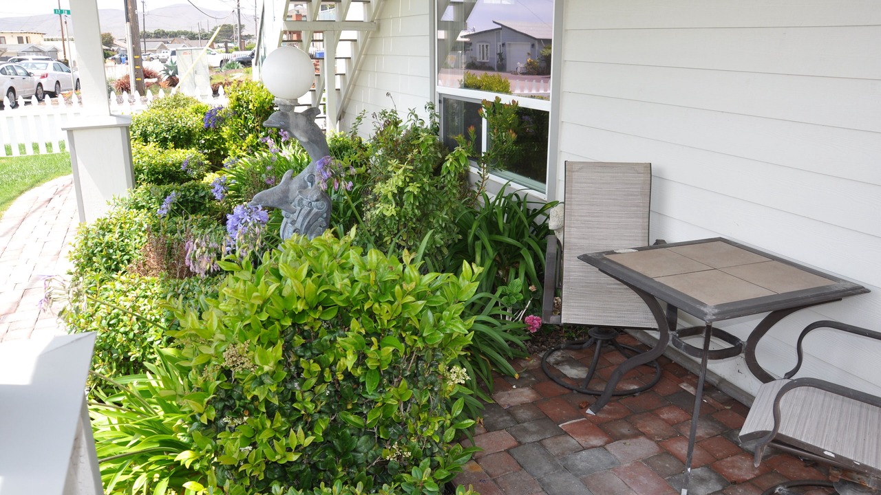 Photo of Outdoor in Cayucos