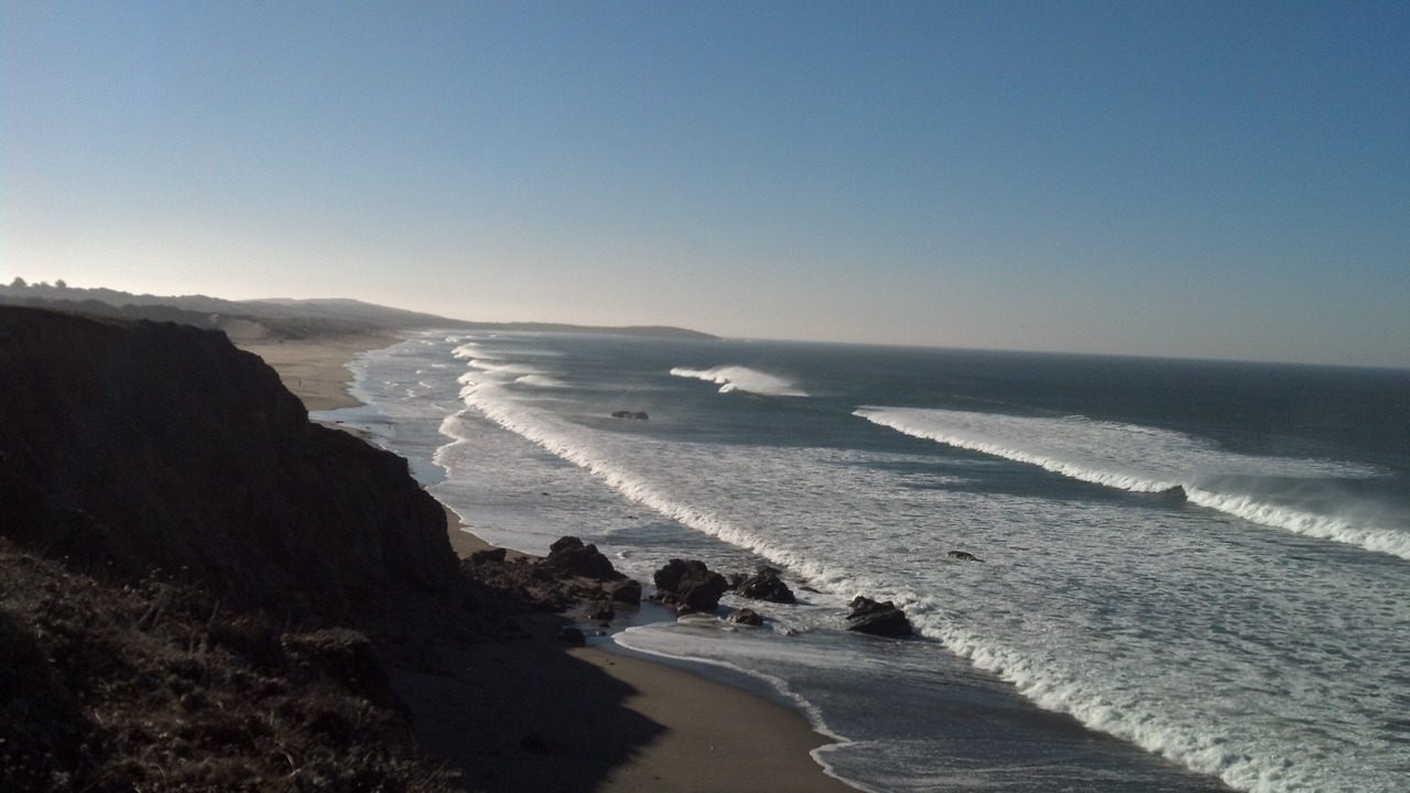 Photo of Others in Bodega Bay