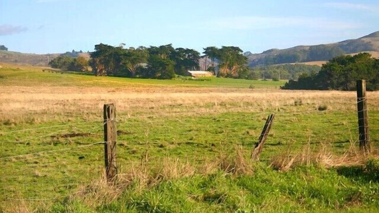 Photo of Outdoor in Bodega Bay