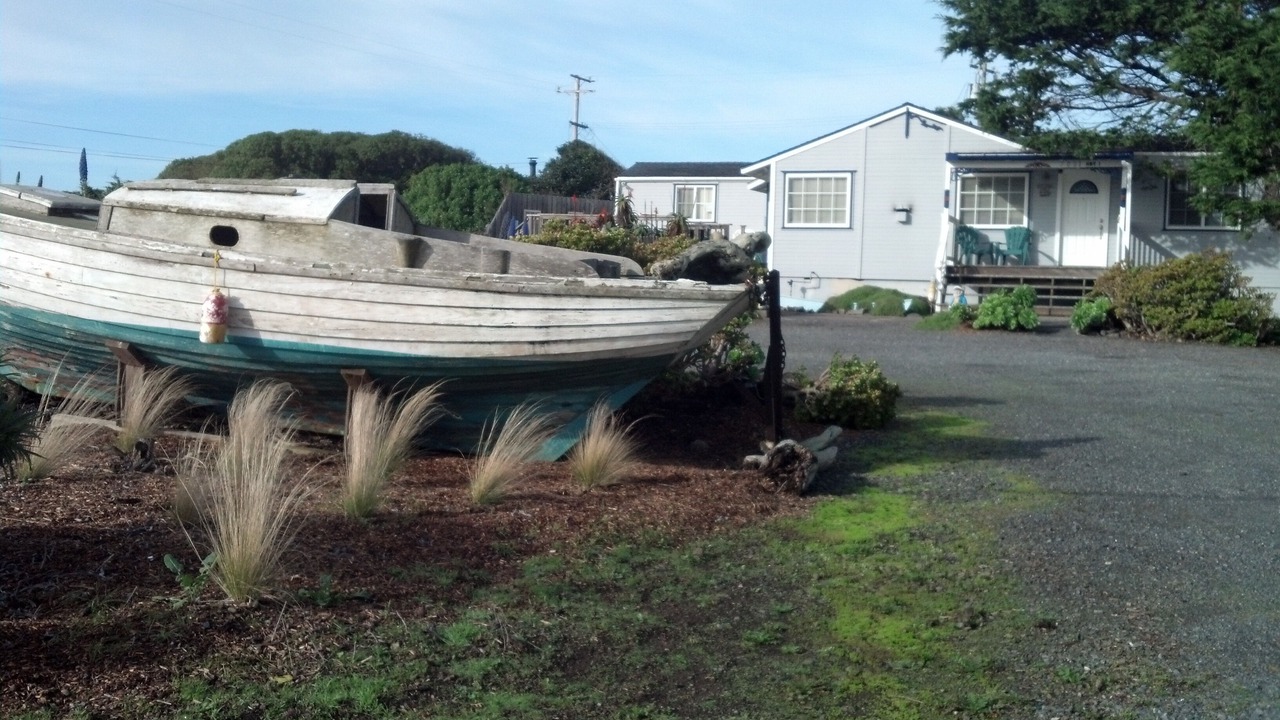 Photo of Outdoor in Bodega Bay