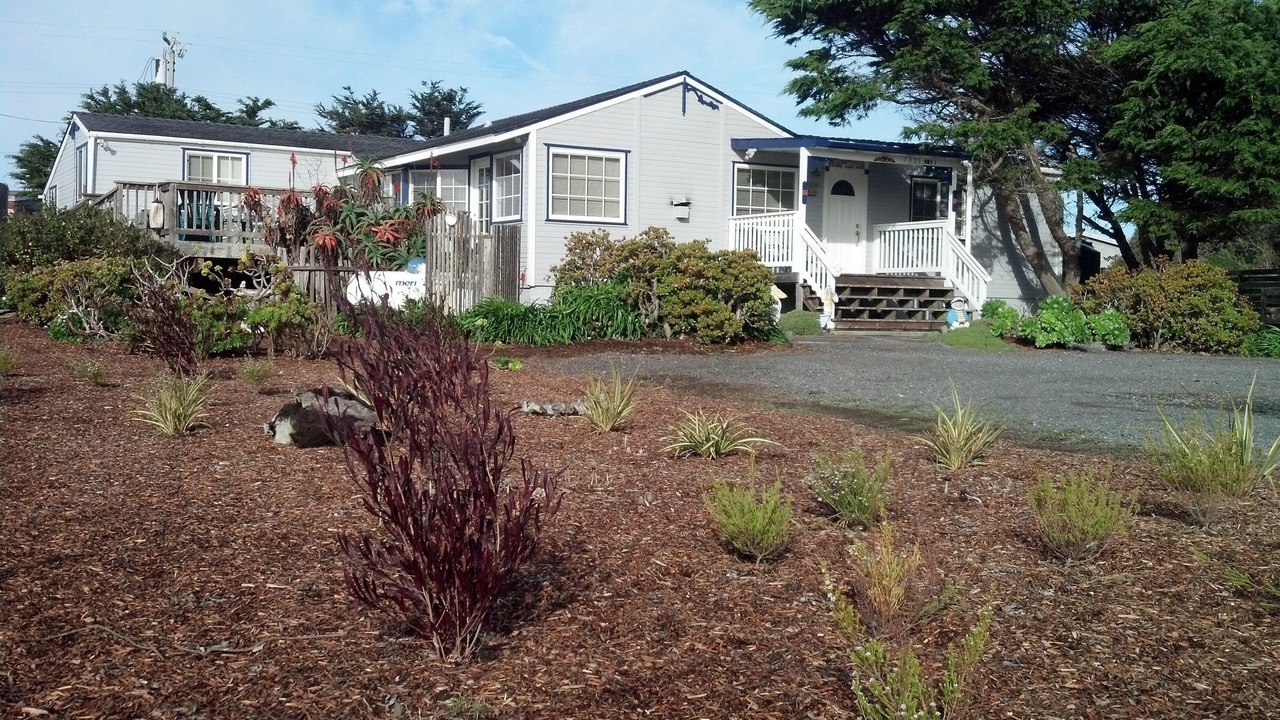 Photo of Outdoor in Bodega Bay