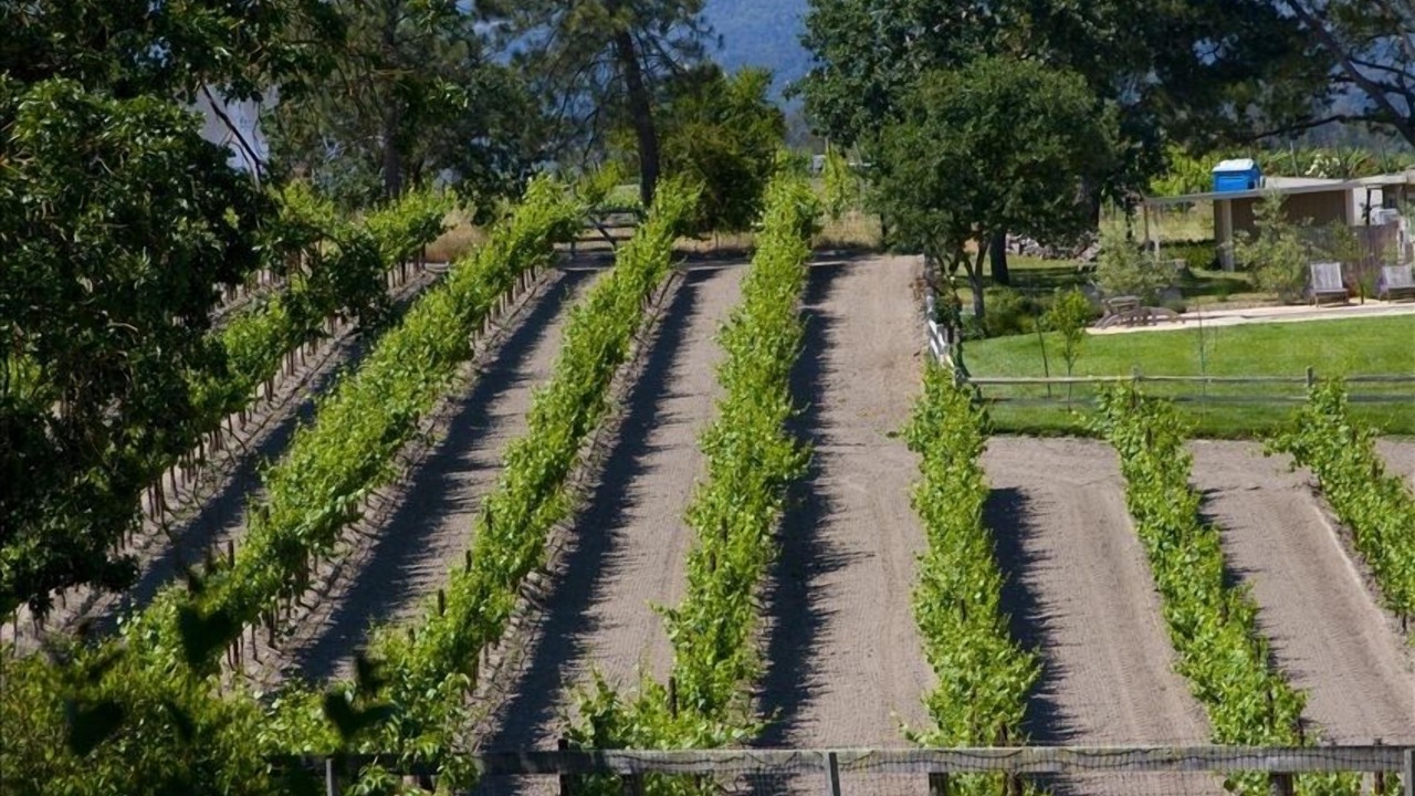 Photo of Outdoor in Sonoma