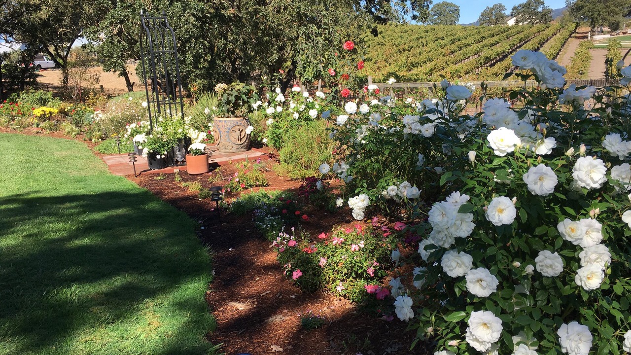 Photo of Outdoor in Sonoma