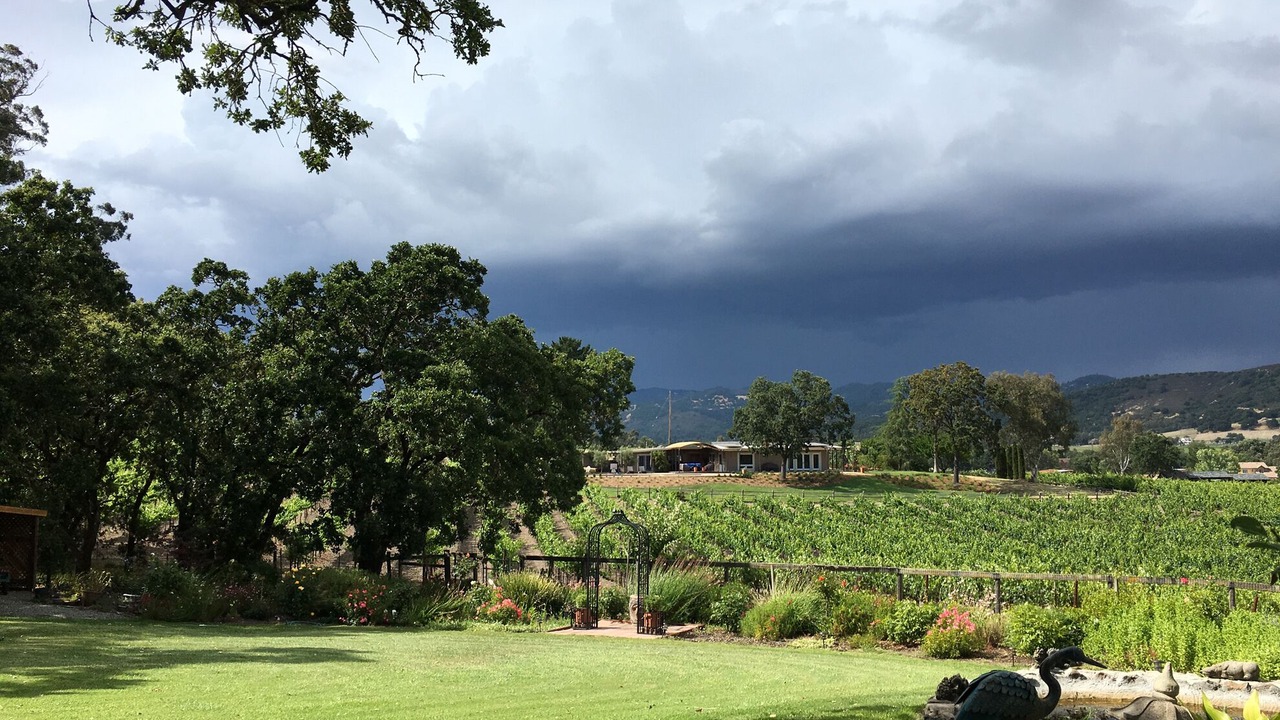Photo of Others in Sonoma