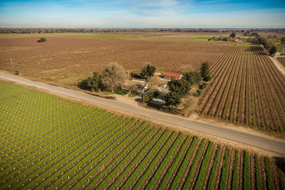 Photo of Others in Lodi