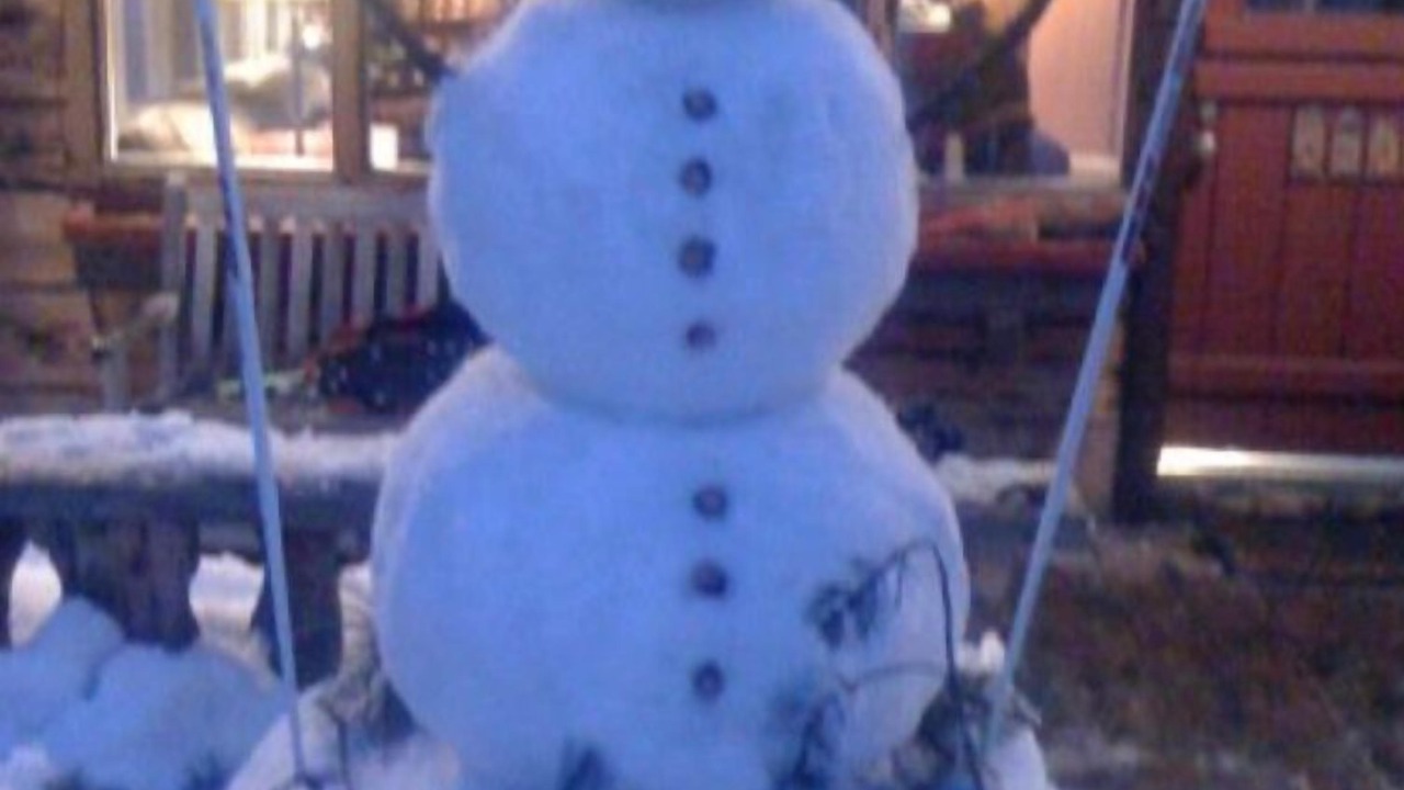 Photo of Others in McKinney Estates