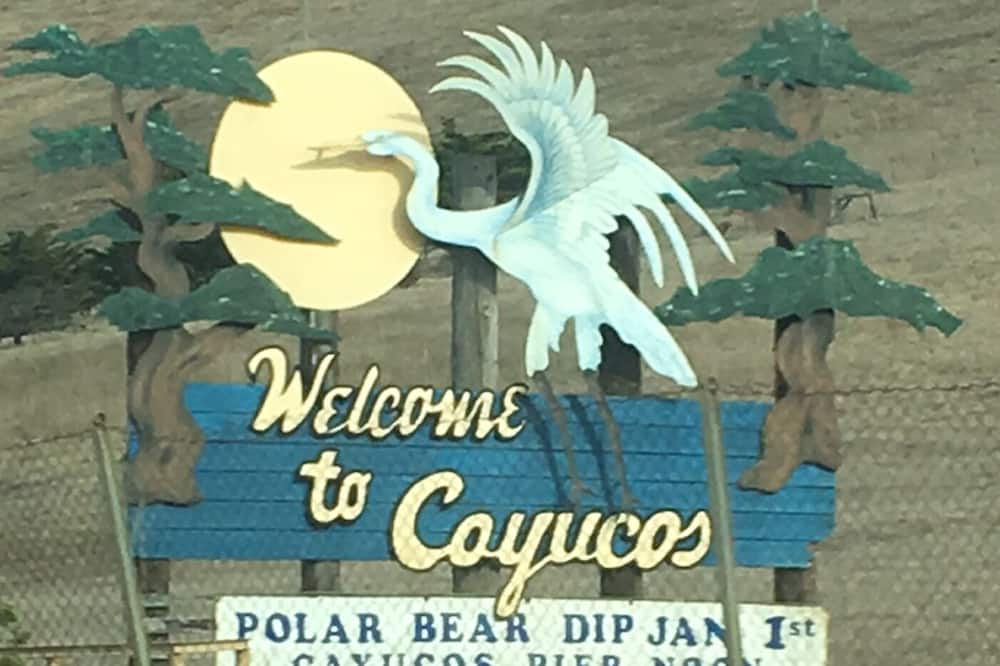 Photo of Outdoor in Cayucos