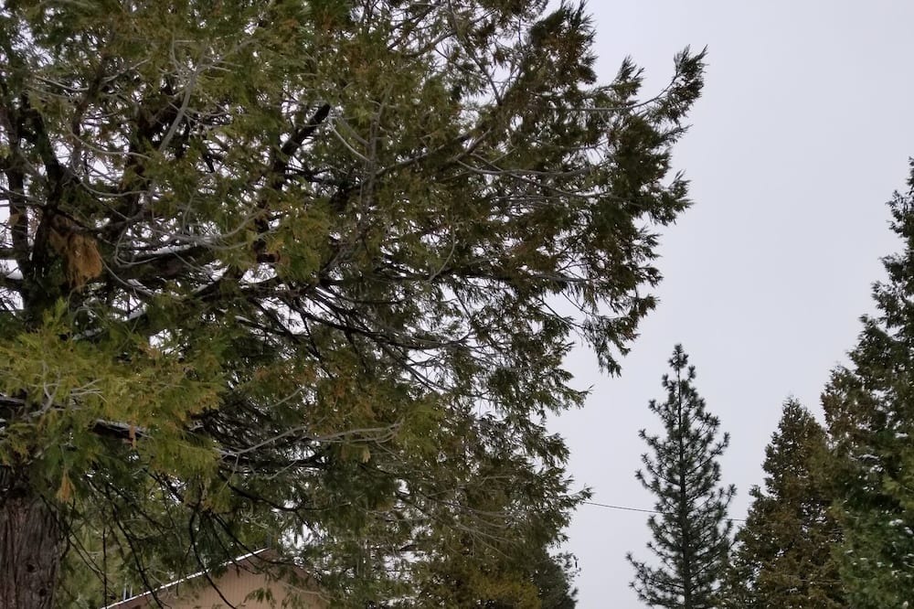 Photo of Others in Cold Springs