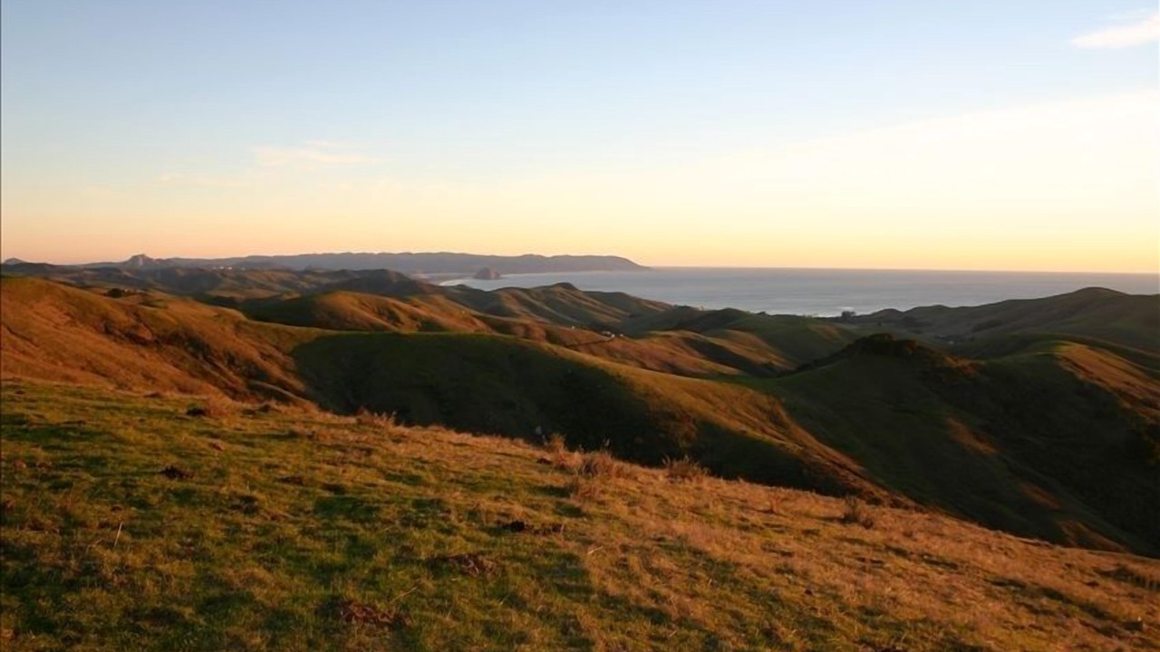 Photo of Outdoor in Cayucos