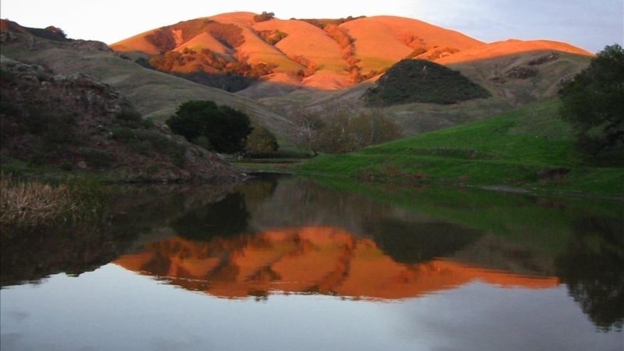Photo of Others in Cayucos