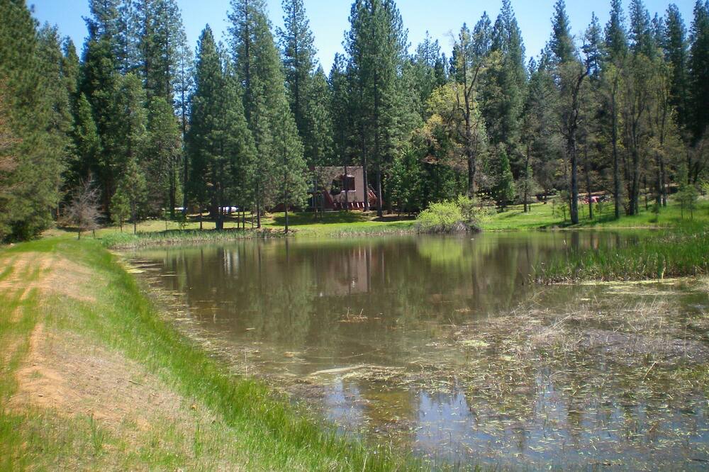 Photo of Others in Mariposa