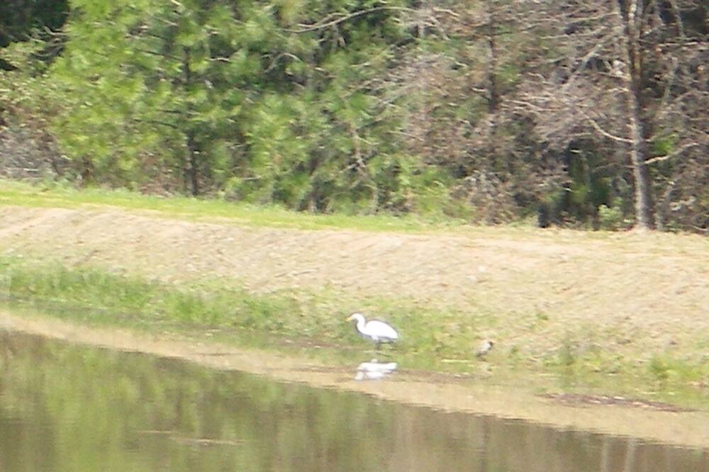Photo of Others in Mariposa