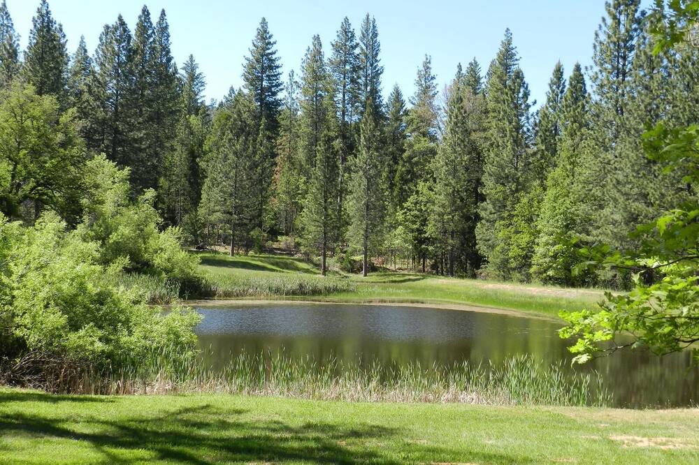 Photo of Others in Mariposa