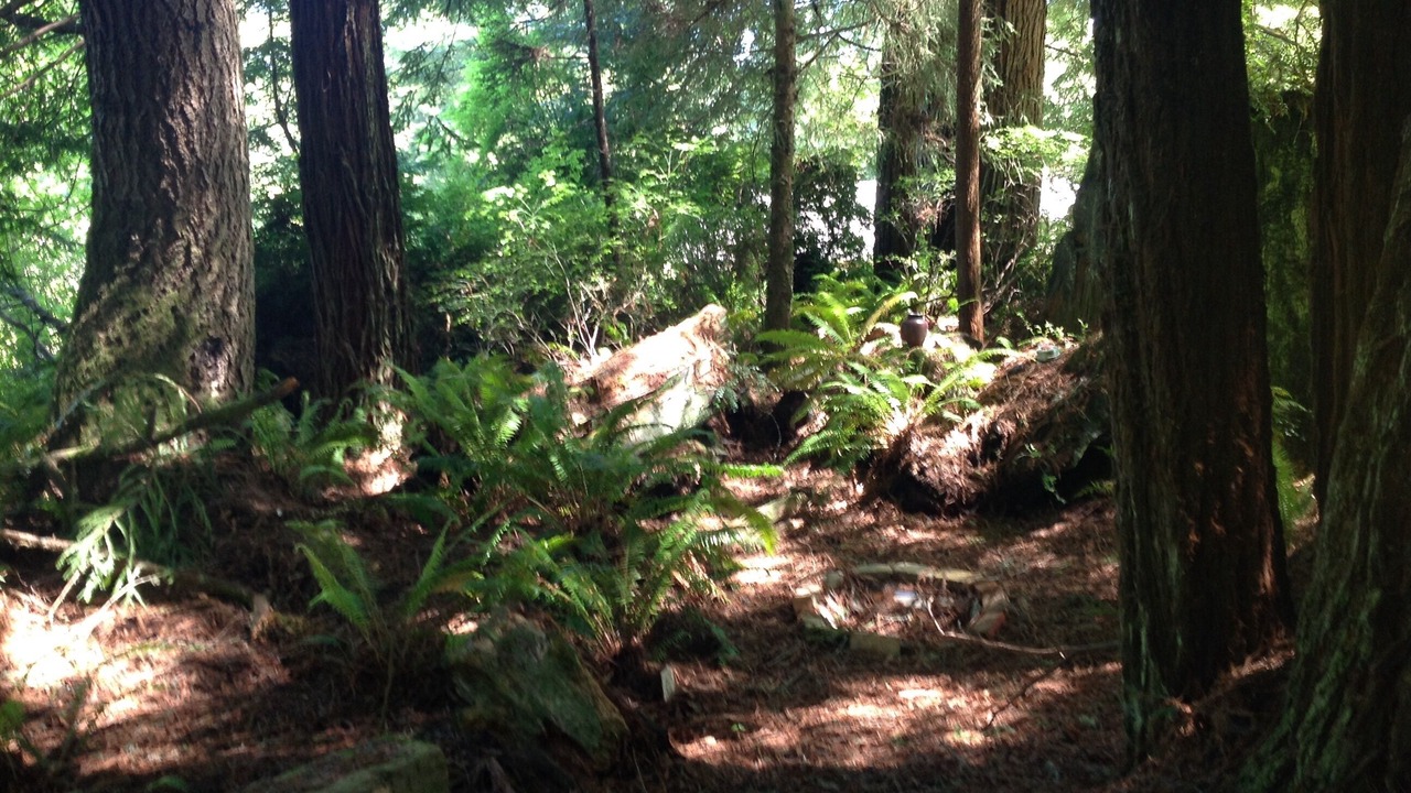 Photo of Outdoor in Garfield