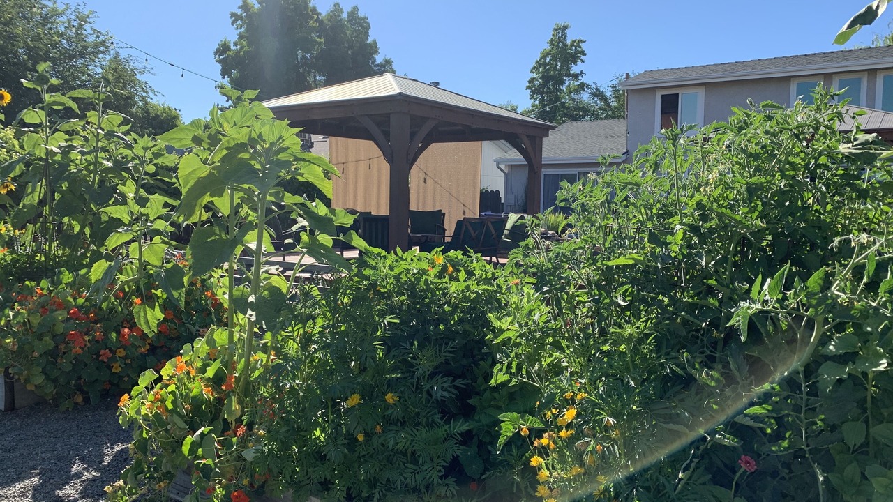 Photo of Outdoor in San Luis Obispo