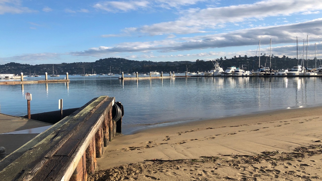 Photo of Others in Sausalito
