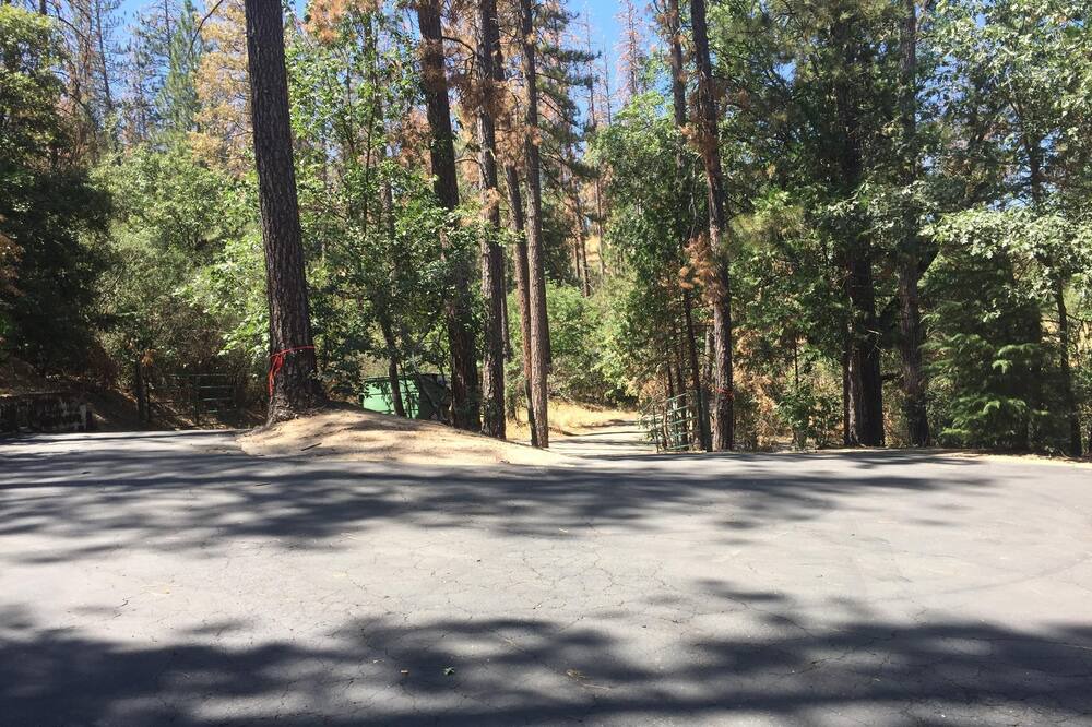 Photo of Others in Bass Lake