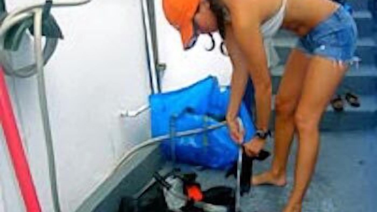Photo of Others in Avalon