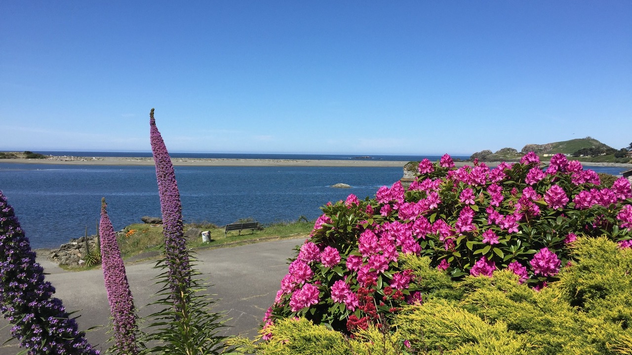 Photo of Outdoor in Smith River