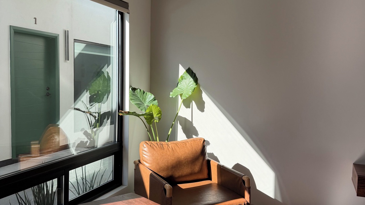 Photo of Bedroom in Acapulco