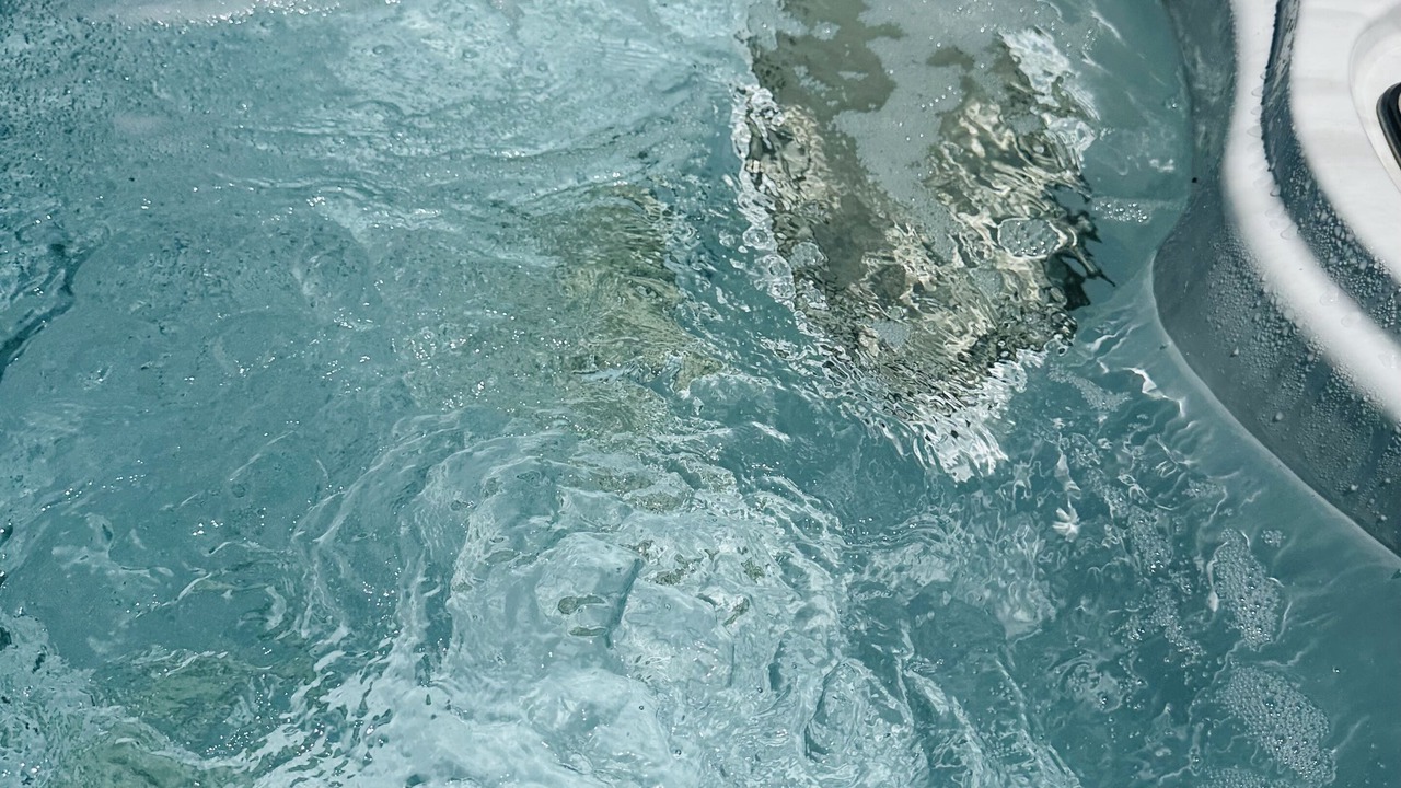 Photo of Others in Lower Kingsbury