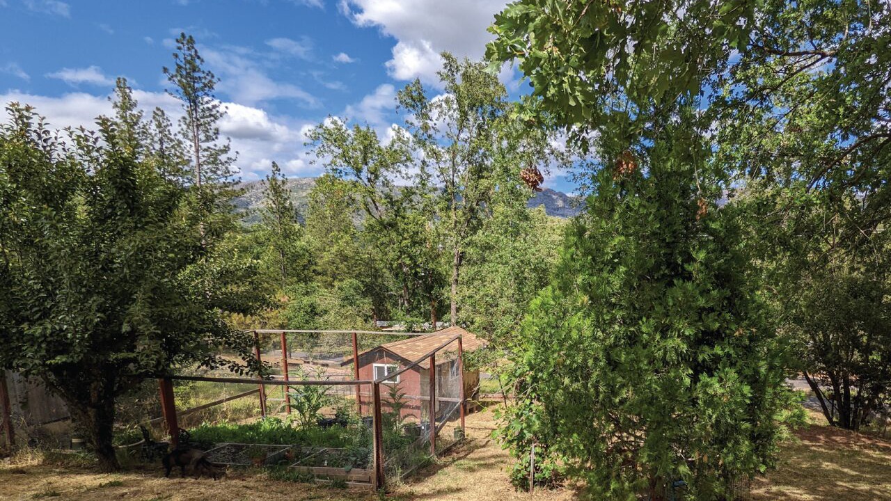 Photo of Outdoor in North Fork