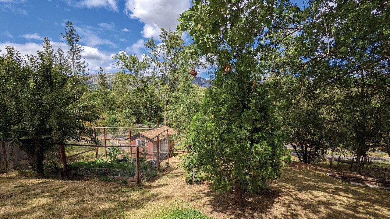 Photo of Outdoor in North Fork