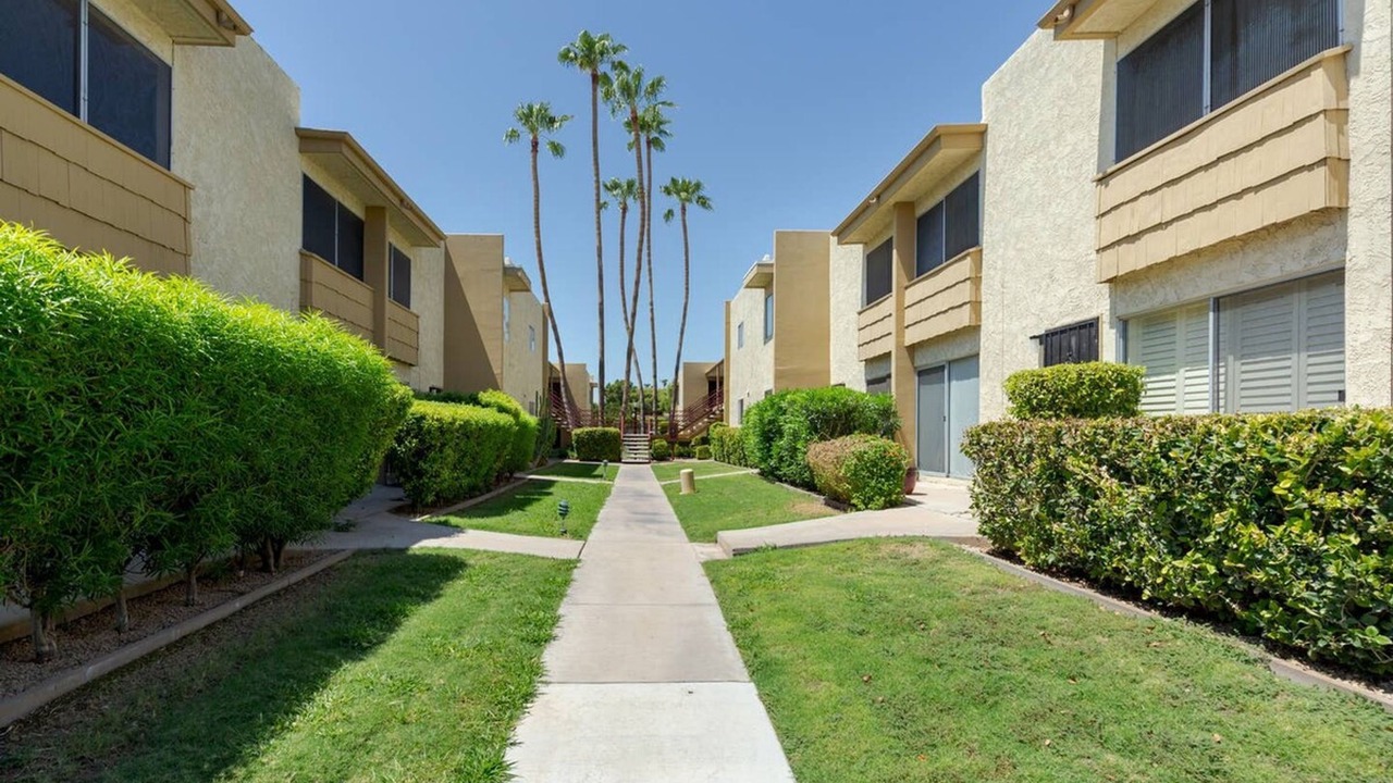 Photo of Others in South Scottsdale
