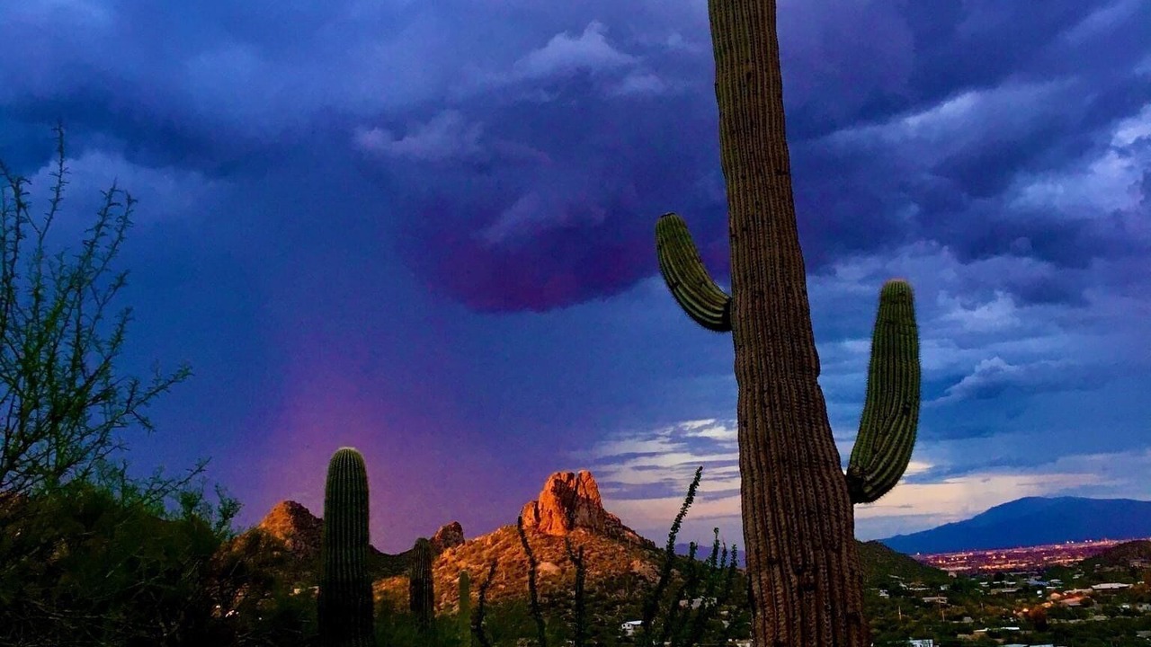 Photo of Outdoor in Camelback East