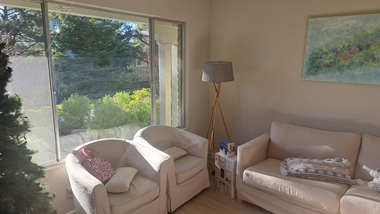 Photo of Livingroom in Pacheco
