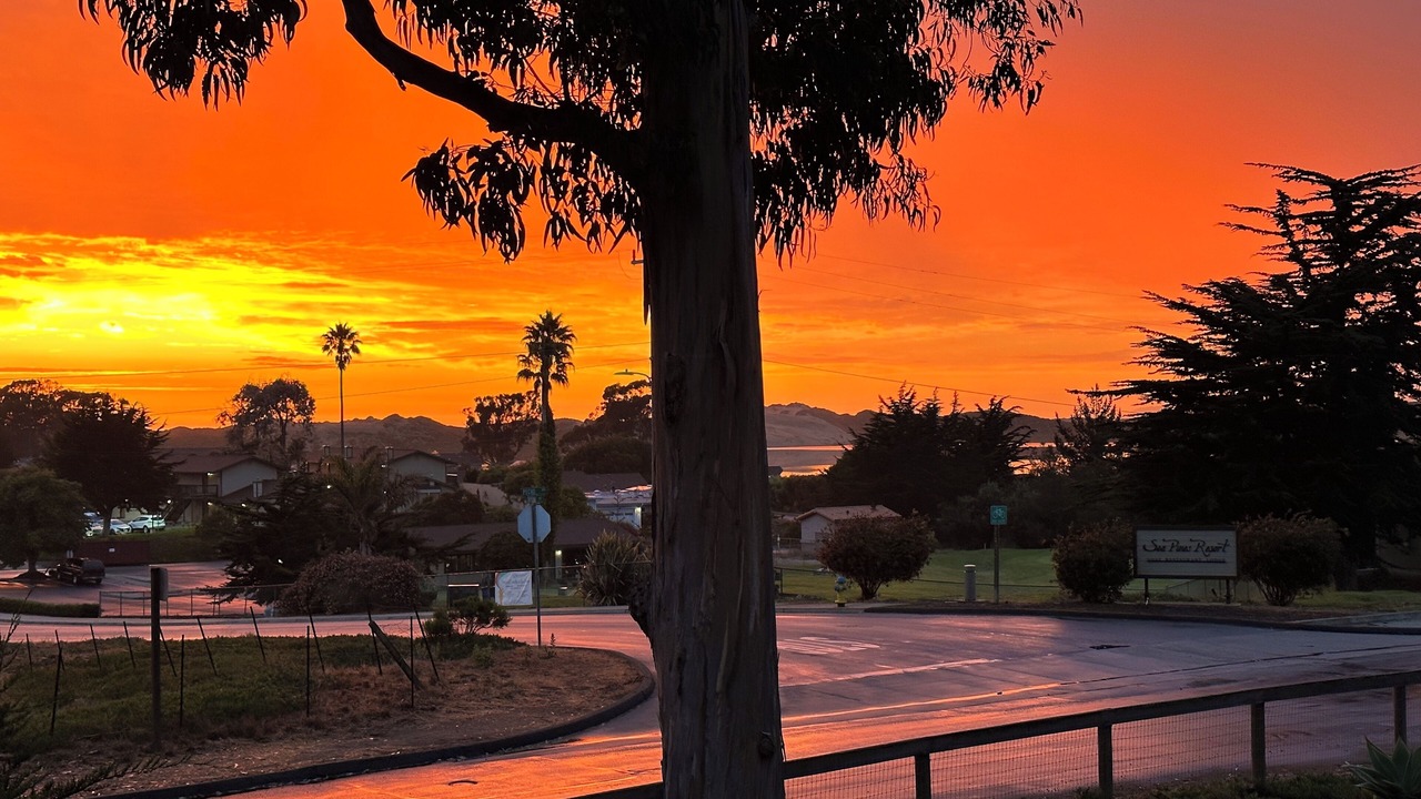 Photo of Others in Baywood-Los Osos