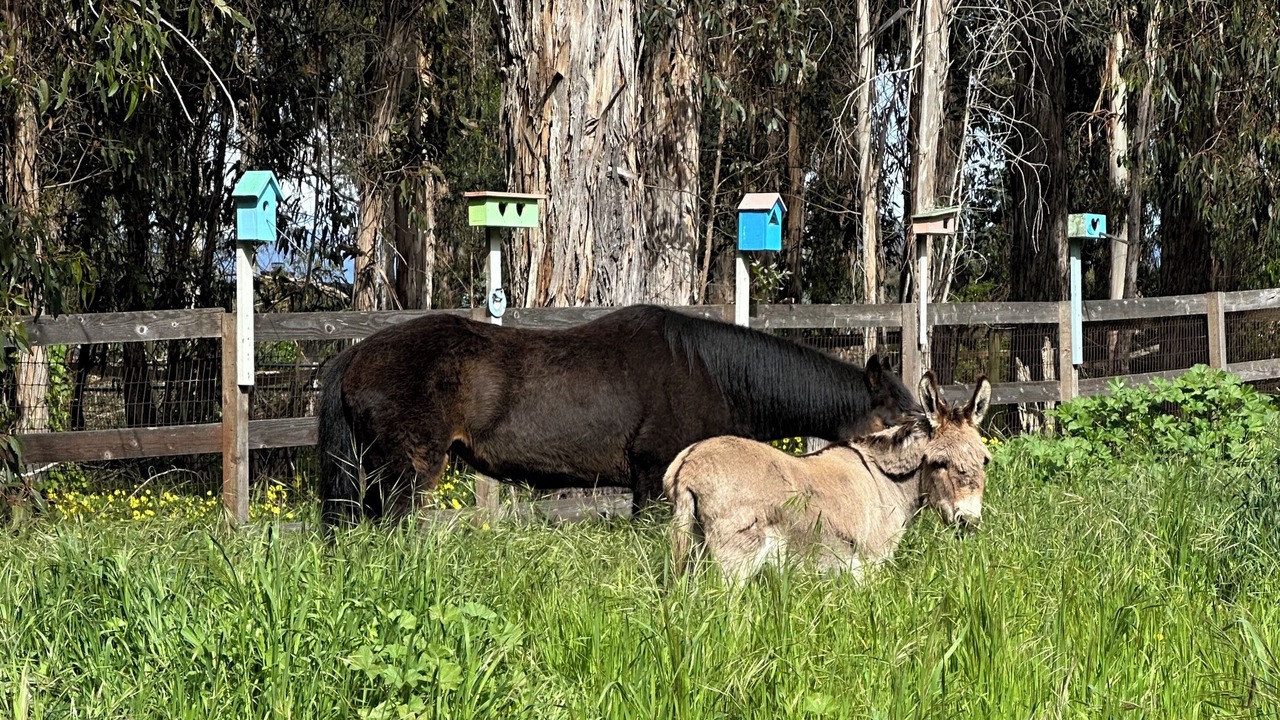 Photo of Others in Baywood-Los Osos
