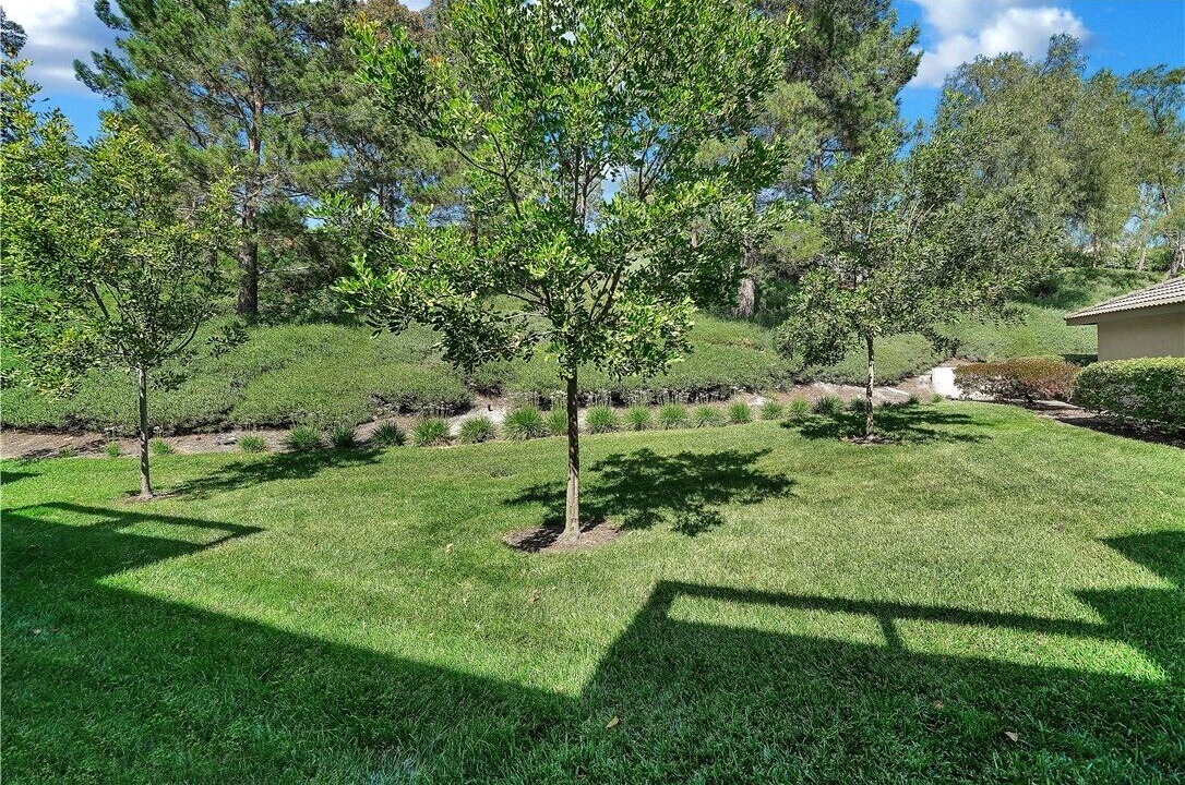 Photo of Outdoor in Foothill Ranch