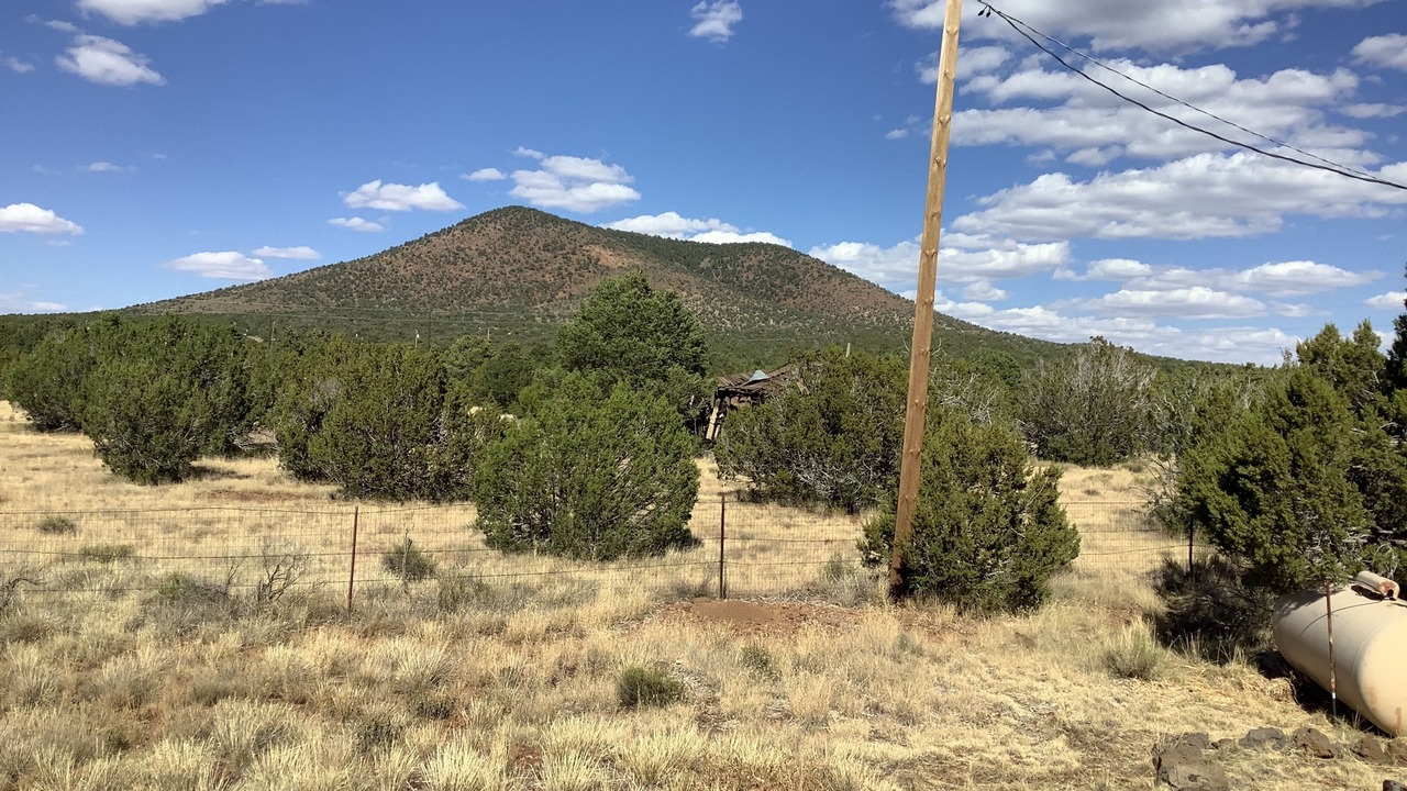 Photo of Others in Williams