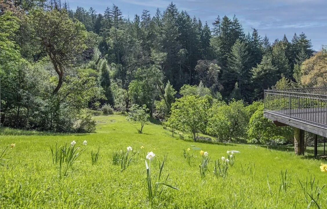 Photo of Outdoor in Redwood City