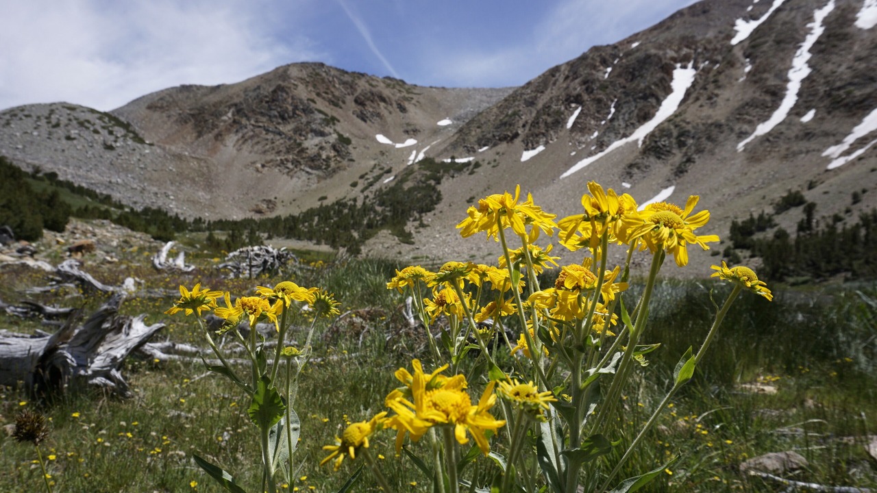 Photo of Outdoor in Big Pine