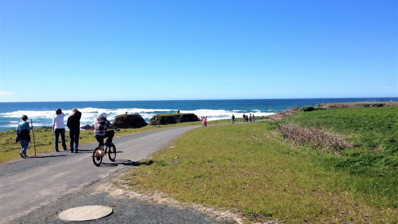 Photo of Outdoor in Fort Bragg