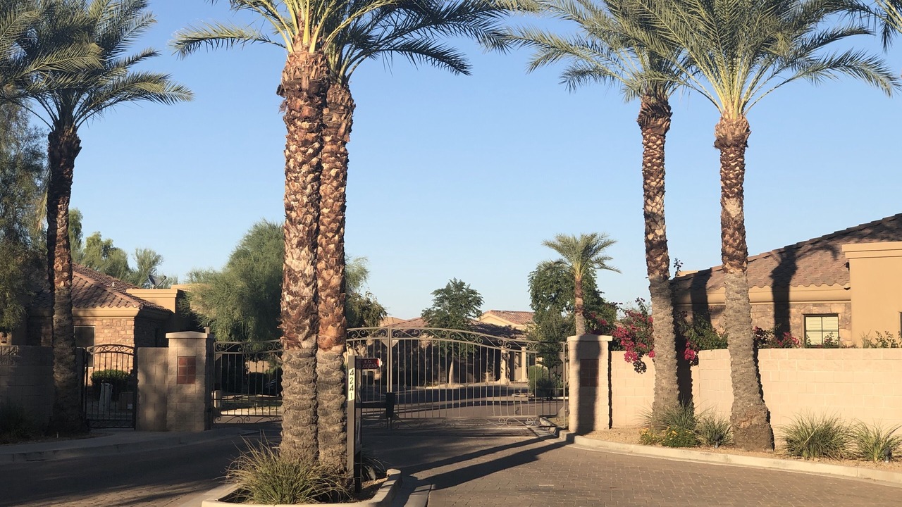 Photo of Others in Palm Valley