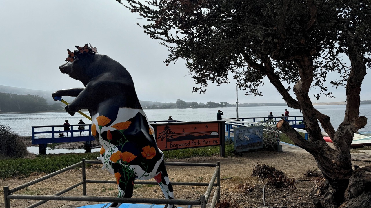 Photo of Others in Baywood Park