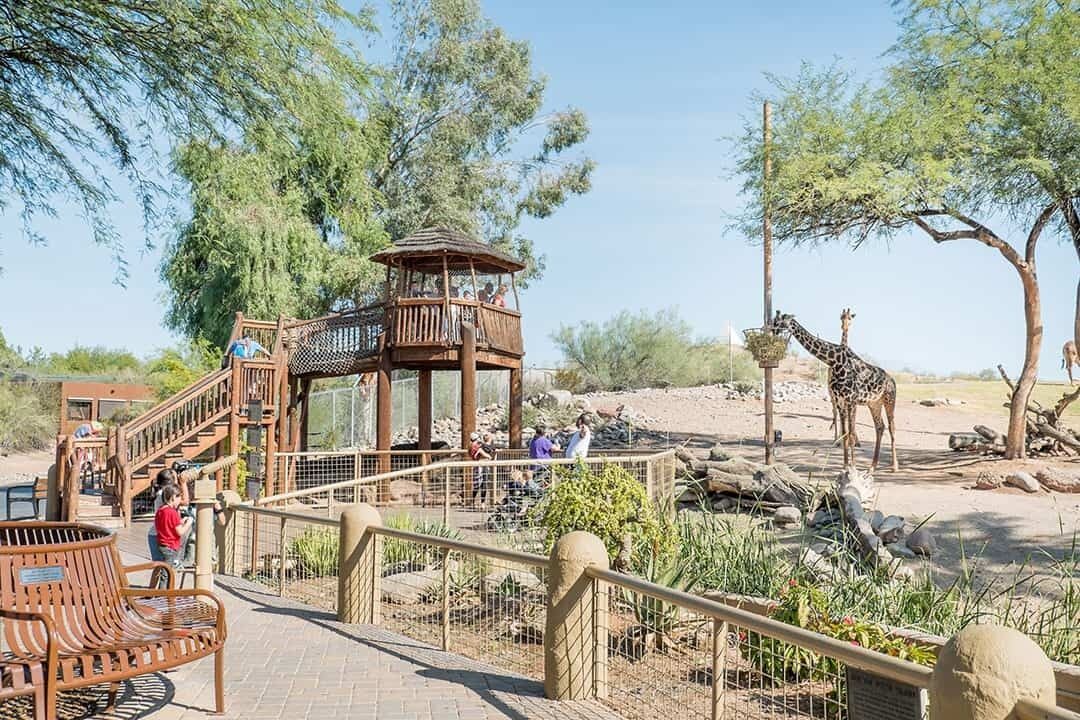 Photo of Outdoor in Thunderbird Desert Estates