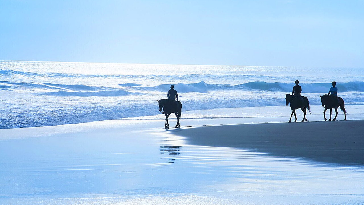 Photo of Others in Montara